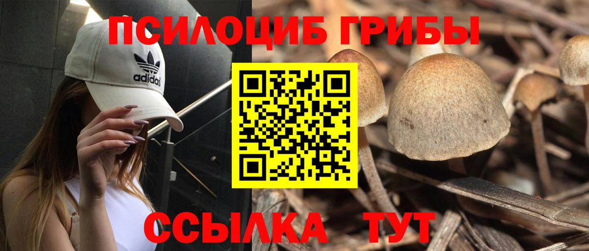 Псилоцибиновые грибы MAGIC MUSHROOMS Киреевск