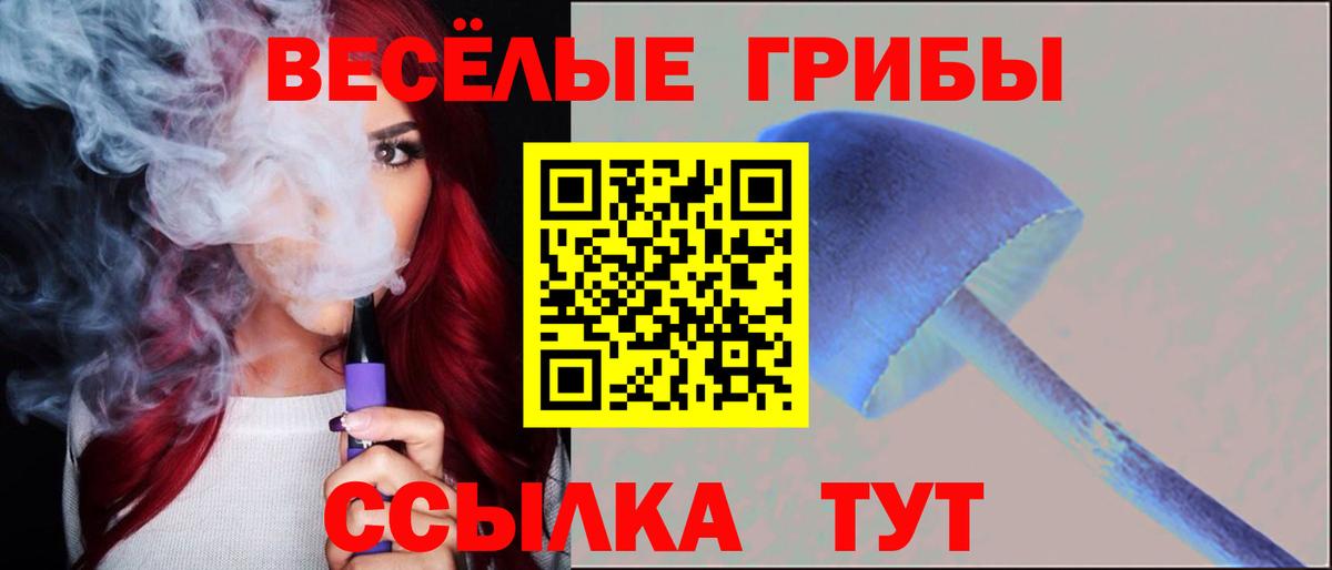 Галлюциногенные грибы мицелий  Вход с VPN  Киреевск 